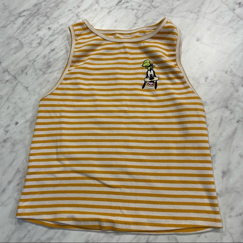 Disney Goofy Stripped Crop Top